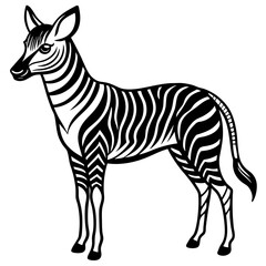zebra isolated on white