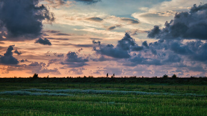 Nordesee - Deich - Wiese - Weide - Natur - Landschaft - Küste - Ebbe - Flut - Gezeiten - Landschaft - Hintergrund - Deutschland - Wattenmeer - Sonnenuntergang - Sunset	