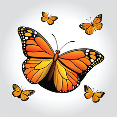 clipart Vector of a colorful butterfly on a white background