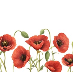 Obraz premium amapolas