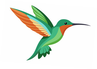 Obraz premium Hummingbird Vector Illustration on White Background - Printable Art