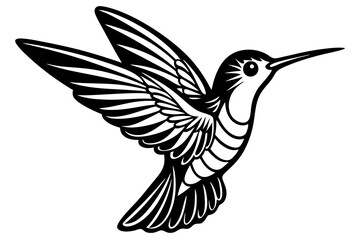 Hummingbird Vector Illustration on White Background - Printable Art