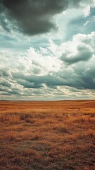 Vast landscape featuring golden grass under a dramatic cloudy sky, perfect for nature and outdoor photography themes.