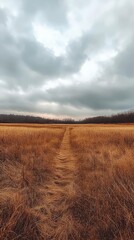 A serene path through a golden field under a dramatic cloudy sky, inviting exploration into nature's beauty.