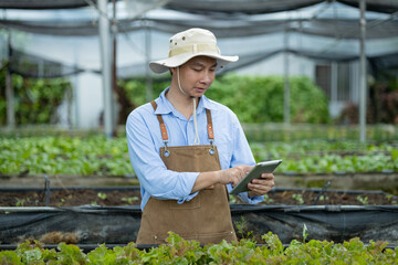 Young agriculturists are selecting vegetables to check their quality for sale in their small-scale business.