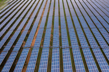 Engineer Inspecting Solar Panels at Power Plant