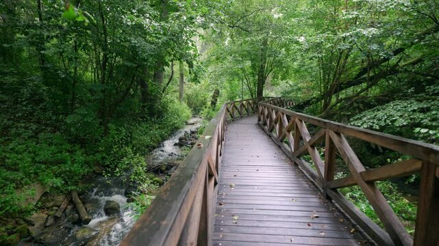 Beautiful nature reserve Czartowe Pole. A wooden walking footbridge in a dense forest along the Sopot River. Susiec, Roztocze, Poland