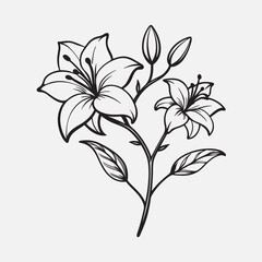 A drawing Black outline flowers branch with vector illustration on it