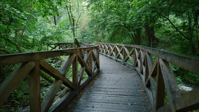 Beautiful nature reserve Czartowe Pole. A wooden walking footbridge in a dense forest along the Sopot River. Susiec, Roztocze, Poland