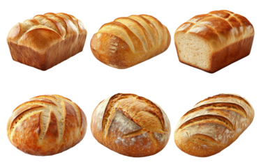 Variety of freshly baked bread with golden crusts isolated on transparent background