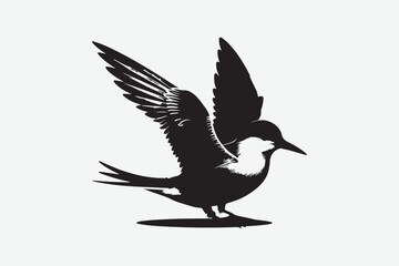 Pigeon Bird vector art and illustration
