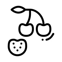 cherry icon. vector icon with outline style