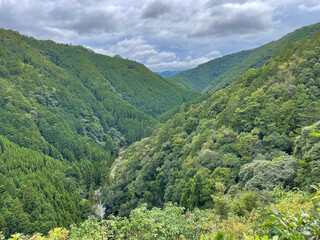 Fototapeta premium 夏の渓谷