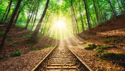 Obraz premium Sunlight filtering through a lush green forest, illuminating a railway track covered with autumn leaves.