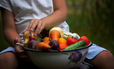 the boy holds a bowl of vegetables, harvest from the garden. harvest.