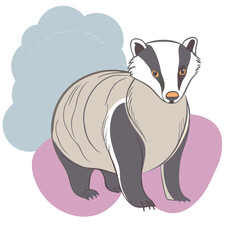 Badger design and vector art.