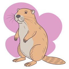 Beaver design and vector art.