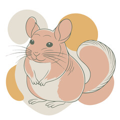 Chinchillas design and vector art.