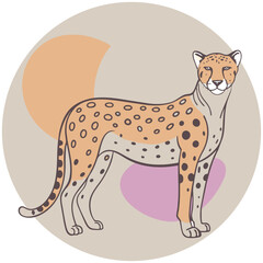 Cheetah design and vector art.