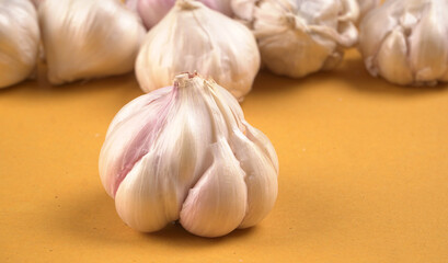 Organic Garlic. Fresh Garlic Cloves and Garlic bulb in wooden basket on yellow background with Pile of garlic or spice. Concept of spices for healthy cooking.
