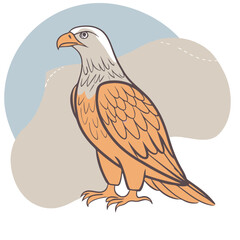 Eagle vector art and design.