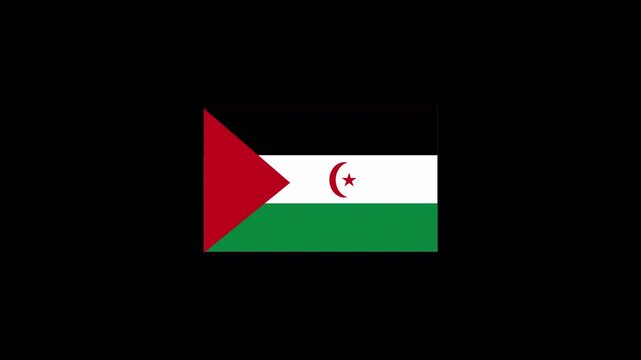 syria flag sphere with animation