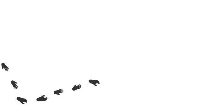 Animal paw prints. Cartoon comic funny paws along the path. Footprints walking animal on a trajectory of movement. Ferret paw prints on a white background.  4K.  Video