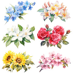 Fototapeta premium PNG watercolor flower painting