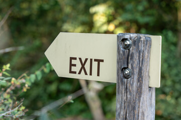Wooden sign with an arrow and the inscription exit. The sign is located in the forest, surrounded by trees and bushes.