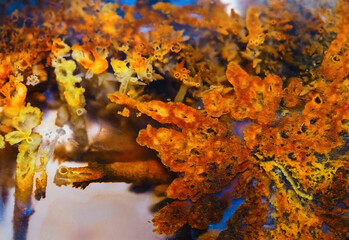 Colorful close up of aged concrete and granite walls in high resolution