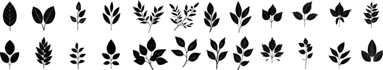 Leaf icons. Collection of plant leaves. Natural elements design for environmental, eco, bio and vegan labels