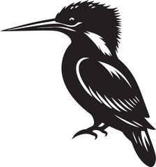 black and white bird