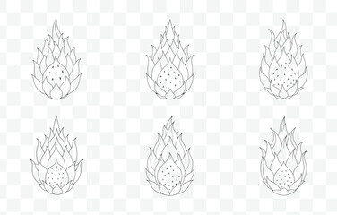 Print Detailed Dragonfruit Line Art Vector Set with Multiple Illustrations for Creative Designs