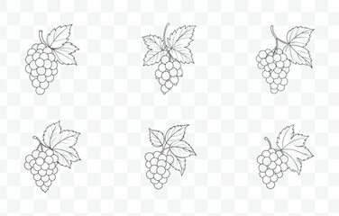 Print Elegant Currant Line Art Vector Set for Detailed Botanical Illustrations and Creative Designs

