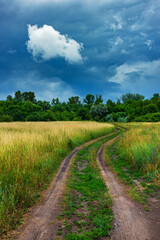 Country road leading through the meadow into the forest and dark rain clouds in the sky. Summer nature of the forest-steppe