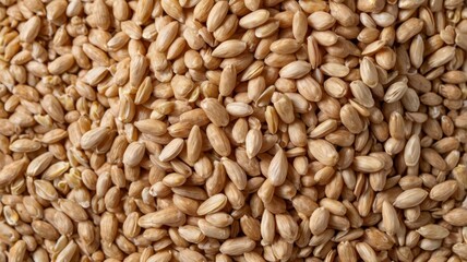 Fototapeta premium Organic peeled spelt grains on white, overhead view 