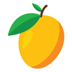 Mango Vector Illustration Hand Drawing