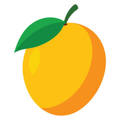 Mango Vector Illustration Hand Drawing