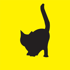 black cat, silhouette of a cat