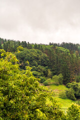 Paisaje en Areatza, Pa&iacute;s Vasco.