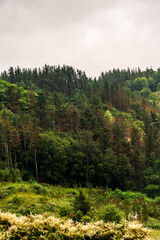 Paisaje en Areatza, País Vasco.