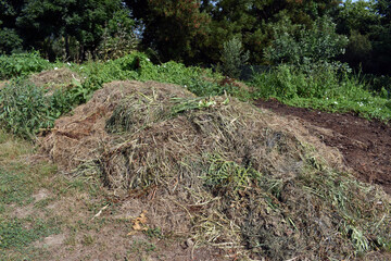Plant and herb remains for composting
