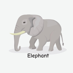 Obraz premium Elephant Vector Illustration: Gentle Giant Animal
