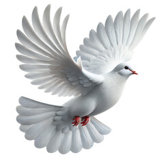 Fototapeta premium A graceful white dove soaring through the sky, symbolizing peace and hope with its elegant wings spread wide.