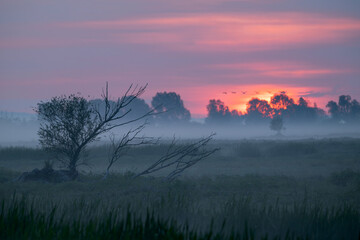 Wschód słońca nad łąkami © M