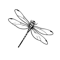 Dragonfly Line Art Drawing. Minimalistic Black Sketch Linear Design of Beautiful Dragonfly for Wall Art, Poster, Print, Logo, Business Card, Web, Social Media. Vector 