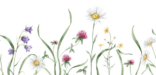 Watercolor seamless botanical banner of summer meadow flowers. Hand drawn illustration of chamomile and clover, bluebell. Yellow white and purple pink flowers and grass on isolated background.