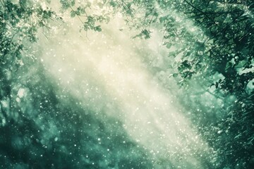 Fototapeta premium Light Filtering Through Snow-Covered Forest Branches