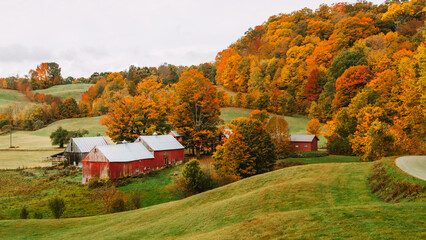 Fall Foliage Farm in Vermont Beautiful Autumn Colors in Vermont, USA. Rolling Hills of Grass, Colorful Trees, Red Barn Rural Small Town New England © And They Travel