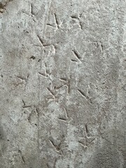 stone wall texture